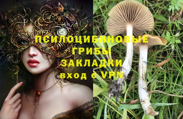 ешки Алексеевка