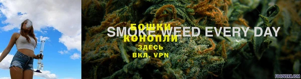ПСИЛОЦИБИНОВЫЕ ГРИБЫ Алзамай