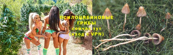 индика Алексин