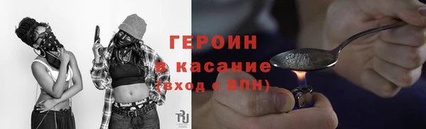 индика Алексин