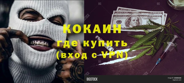 индика Алексин