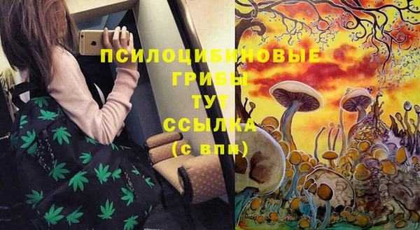 ешки Алексеевка